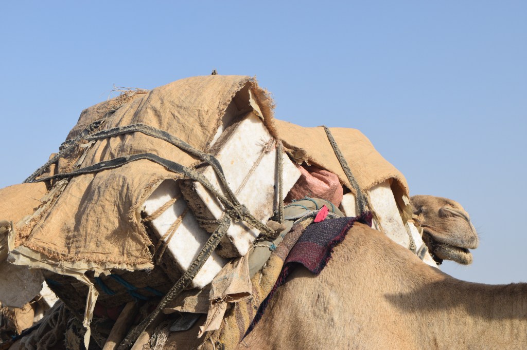 Le ultime carovane del sale