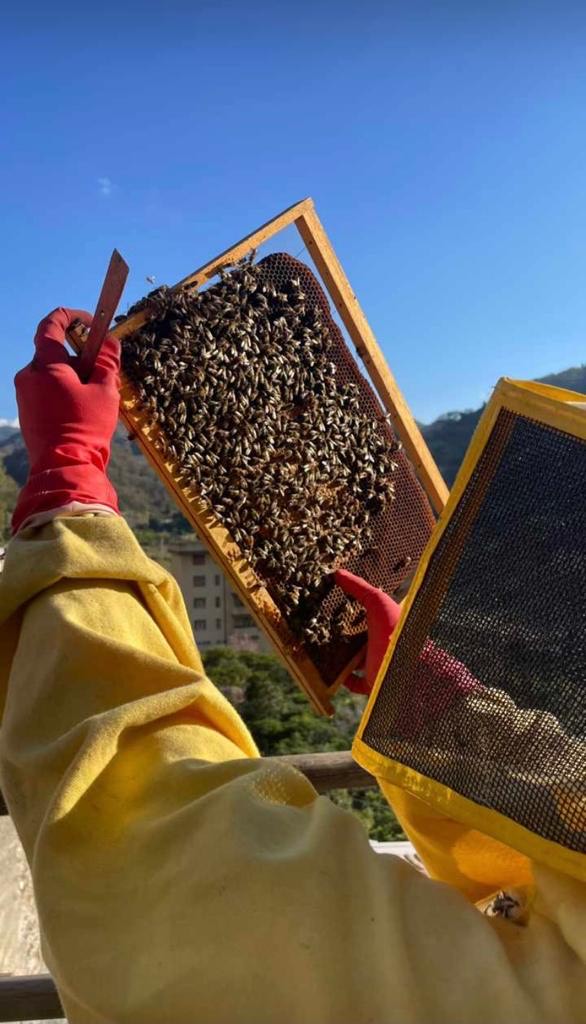 Una giornata da apicoltore 