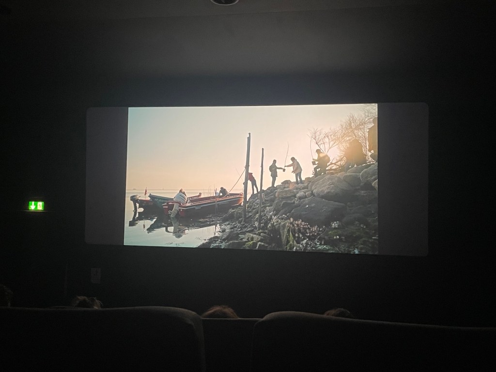 In sala al Cinema Rossini di Venezia